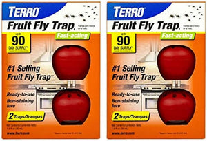 Fruit Fly Trap